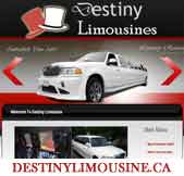 Professional limo drivers for airport transfers 